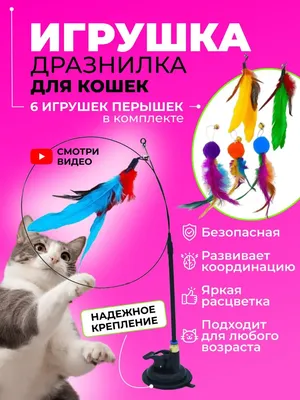 Игрушки для животных Pet Club \"Дразнилка\" - «♥ Как поймать кота на  удочку??? Игрушка, от которой кот не может оторваться. Забавные фото моего  \"Вискаса\". Полезная информация о товарах для наших любимцев. ♥ » | отзывы