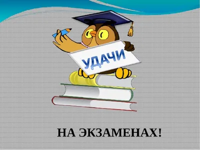 19 мая в районе стартовала экзаменационная кампания - Викулово72.ру.  Новости Викуловского района