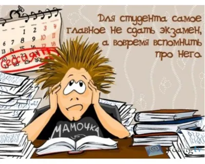 Студент болвана смешной подготавливая для экзаменов университета Стоковое  Фото - изображение насчитывающей настроение, школа: 93900252