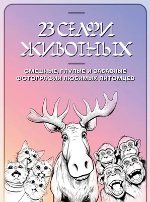 Как люди из разных стран смеются и от чего этот зависит. Подробности | РБК  Life