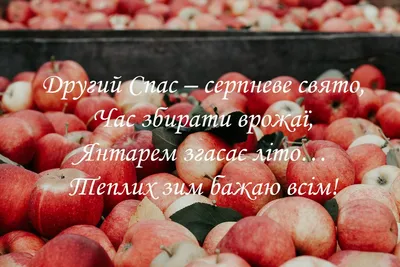 Поздравления с Яблочным Спасом - лучшие открытки, картинки и стихи -  Апостроф