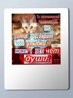 группа смешных взволнованных одноклассников и парней с рюкзаками и  подражателями в воздухе Стоковое Фото - изображение насчитывающей  одноклассники, день: 226978332