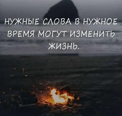 Смешные картинки с надписью про жизнь | Цитата про путешествия, Правдивые  цитаты, Надписи