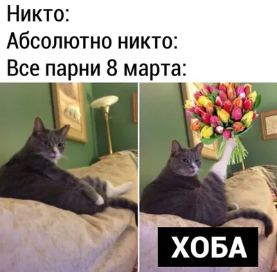 Смешные картинки к 8 му марта