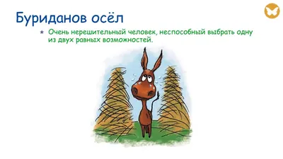 Фразеокотизмы. Фразеологизмы о котах и кошках. Е.С. Грабчикова | Грабчикова  Елена Самарьевна - купить с доставкой по выгодным ценам в интернет-магазине  OZON (1250693099)