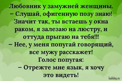 СМЕШНЫЕ АНЕГДОТЫ - 9 ФОТО | СМЕШНО! | Дзен