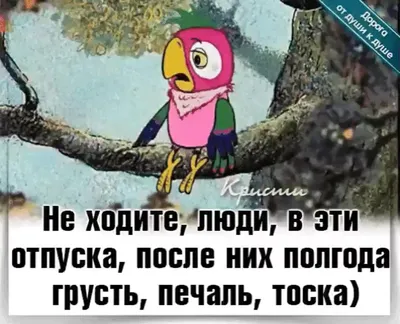 Лучшие и освежающие анекдоты про лето, отпуск и пляж. Есть даже смешные! |  ЗОЖ, тонус, позитив! | Дзен