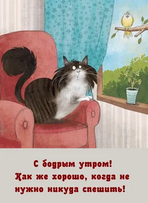 Идеи на тему «Хватит спать» (560) | доброе утро, счастливые картинки,  смешные открытки