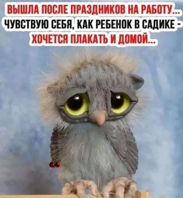 Лг Не за гдьте: Сегодня работаем! Работаем с самого утра Как утром начнём  работать, так до с / смешной прикол :: бухать :: выходные :: работа ::  смешные картинки (фото приколы) /