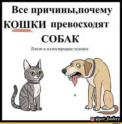 Это соответствует возрасту 42 года :: собакен :: психологический возраст ::  котэ (прикольные картинки с кошками) / смешные картинки и другие приколы:  комиксы, гиф анимация, видео, лучший интеллектуальный юмор.