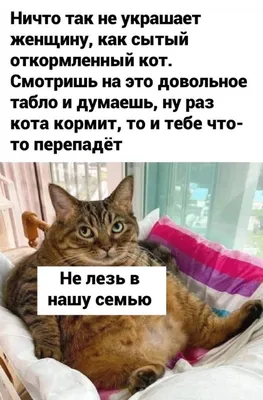 Надо сделать им подарок. Бонусные баллы, которые можно сразу потратить.  Сама же знаешь, как скидка / Xander Toons :: Сова эффективный менеджер ::  Смешные комиксы (веб-комиксы с юмором и их переводы) /