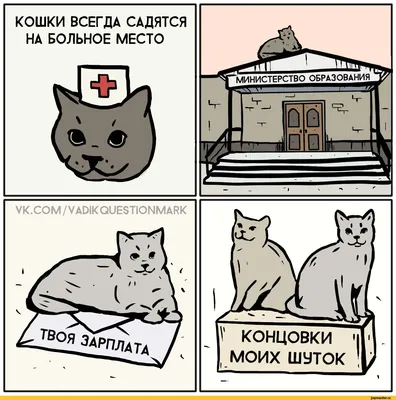 Самые смешные фото котов, которые наделали шума в интернете