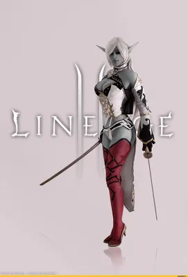 Dark Elf (Тёмный эльф/эльфийка) :: Lineage II :: тёмная эльфийка :: косплей  / смешные картинки и другие приколы: комиксы, гиф анимация, видео, лучший  интеллектуальный юмор.