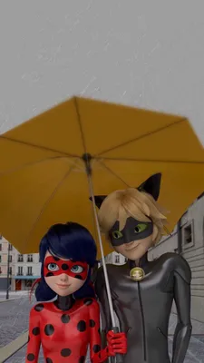 Леди Баг и супер Кот | Miraculous ladybug movie, Miraculous ladybug comic,  Miraculous ladybug memes