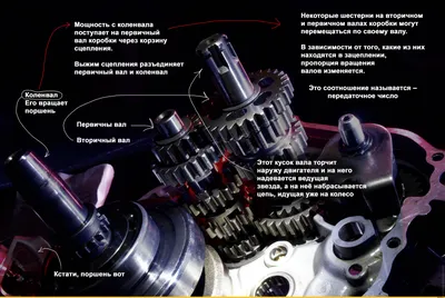 EARLFAMILY 13 см x 8,7 см FTW поршневая Волчья Автомобильная наклейка  внедорожник Мотоцикл переводная картинка Смешные гофрианские волки  автомобиль механик наклейка s | AliExpress