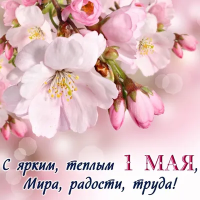 https://prorisuem.ru/risunok-mir-trud-mai.html