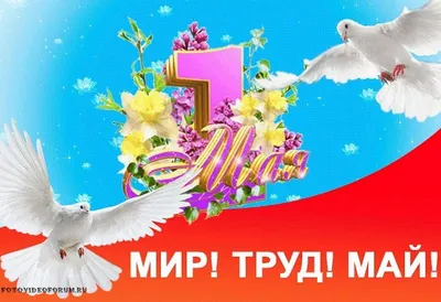 Мир Труд Май.