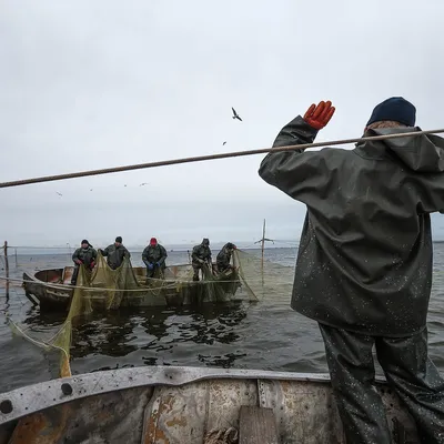 Смешные картинки моряков