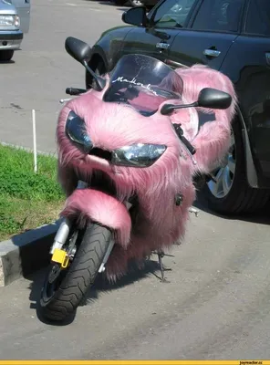 motorcycle / смешные картинки и другие приколы: комиксы, гиф анимация,  видео, лучший интеллектуальный юмор.