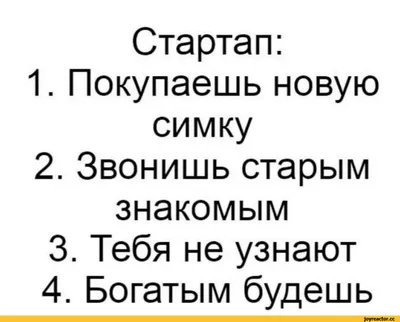 Картинки Галстук-бабочка Джек-рассел-терьер собака шляпе 1920x1920