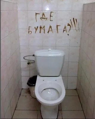 Здесь туалета нет! ВООБЩЕ НЕТ!!! И Ьр БУДЕТ!!! ? Не знаем где есть*  СЛУЖЕБНОЕ ПОМЕЩЕНИЕ / приколы для даунов / смешные картинки и другие  приколы: комиксы, гиф анимация, видео, лучший интеллектуальный юмор.