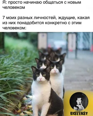 Лозунг Жизнь Коротка Наслаждайтесь Простыми Вещами Моментом Просто  Расслабляйтесь Каждый Векторное изображение ©MarkRademaker 380553146