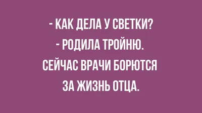 Собака-летяга: опубликованы самые смешные фото животных 2023 - Hi-Tech  Mail.ru