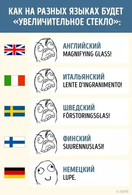 НАСТРОЕНИЕ: ВЫУЧИТЬ НЕМЕЦКИЙ ЯЗЫК, ЧТОБЫ РАЗГОВАРИВАТЬ НА НЁМ, КОГДА ЗААЯ.  – популярные мемы на сайте … | Юмористические цитаты, Смешные высказывания,  Юмор о работе