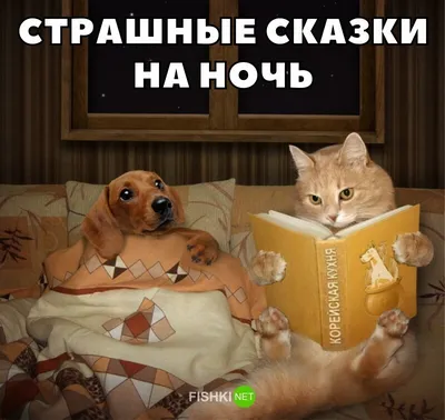 На ночь глядя))) - А ты сегодня улыбался? - Страна Мам