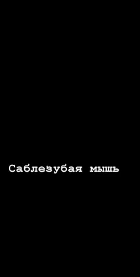 бесшовный рисунок с милыми мультяшными совами на зеленом фоне. смешные обои  с вектором дудла. линии искусство животные печать Иллюстрация вектора -  иллюстрации насчитывающей бесконечно, изображение: 222773464