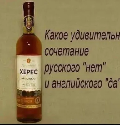 Cheers И Пиво Смешные Высказывания С Пивными Кружками Силуэты — стоковая  векторная графика и другие изображения на тему Алкоголь - напиток - iStock