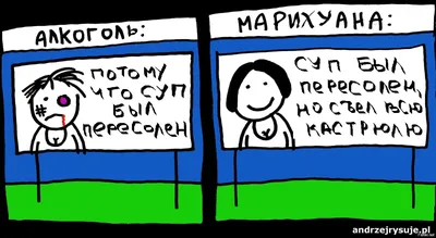 Московский зоопарк рассказал о рекордном количестве родившихся детенышей |  РБК Life