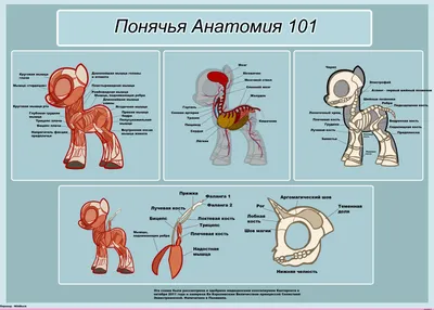 Медицинские смешные рисунки (44 фото) » Рисунки для срисовки и не только