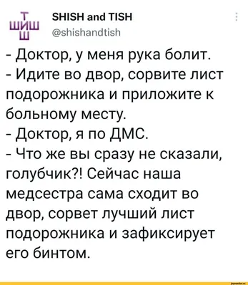 Смешные Анатомические Печени Характер Мило Человеческого Тела Внутренней  Анатомии Органа Медицинской Концепции — стоковая векторная графика и другие  изображения на тему Печень - Внутренний орган - iStock