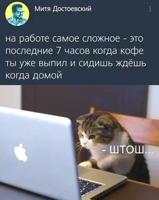 Смотрите смешные видео на работе? И правильно. Это может повысить  продуктивность | Vector