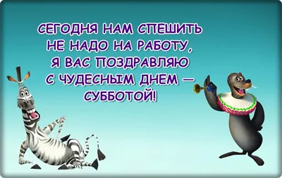 Всем приятной субботы! / котейка :: бухло :: суббота / смешные картинки и  другие приколы: комиксы, гиф анимация, видео, лучший интеллектуальный юмор.