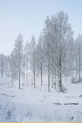 Танцы на снегу | Пикабу