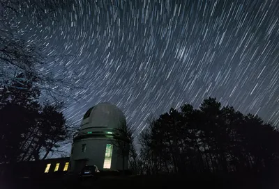 Смешная Карикатура Похищение Кролика Нло Векторное изображение  ©shockfactor.de 580719888