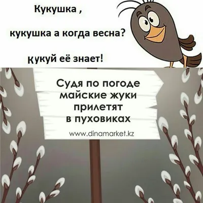 Статусы про весну Прикольные - 📝 Афоризмо.ru