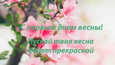 Смешные характеры продажи: продажа весны Иллюстрация вектора - иллюстрации  насчитывающей яркое, знамена: 59318437