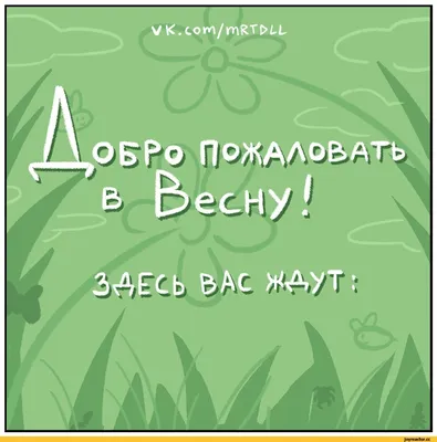 Две Маленькие Смешные Птицы Воробьи Весной В Парке На Ветке Размахивая  Крыльями — стоковые фотографии и другие картинки Юмор - iStock