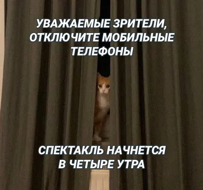 Здоровое питание. Немного смешных овощей вокруг слова ЗДОРОВЬЕ Стоковая  иллюстрация ©velirina #103782860