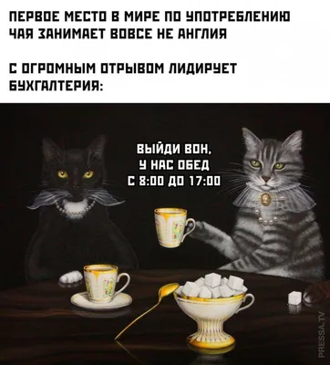 Больше не работает: Смешные цены, магазин одежды, Минск, проспект Газеты  Звязда, 53 — Яндекс Карты