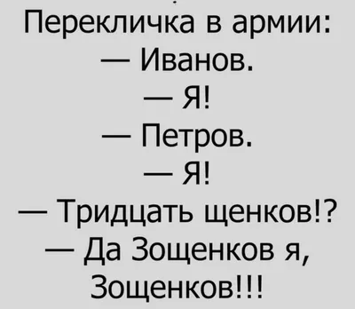 Пин от пользователя Наташа Шлапак на доске обо всём | Доброе утро, Смешные  поздравительные открытки, Веселые картинки