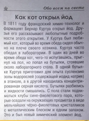 День неторопливости: смешные мемы и шутки о человеческой медлительности –  Люкс ФМ