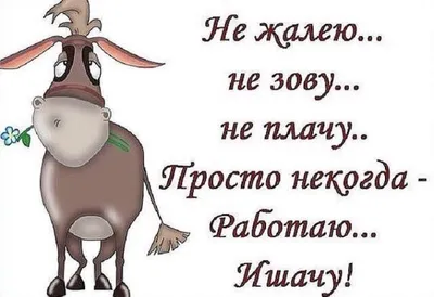 Мужские носки «от работы кони дохнут» №960254 - купить в Украине на  Crafta.ua