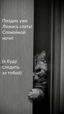 Тест: попробуйте угадать советские и российские фильмы по смешной цитате -  25 ноября 2023 - 76.ru