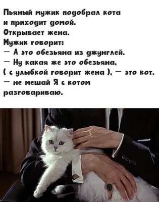 Анекдоты про мужчин: 50+ смешных свежих шуток о представителях сильного пола