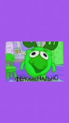 Обои мем «феноменально» | Веселые мемы, Смешные мемы, Мемы