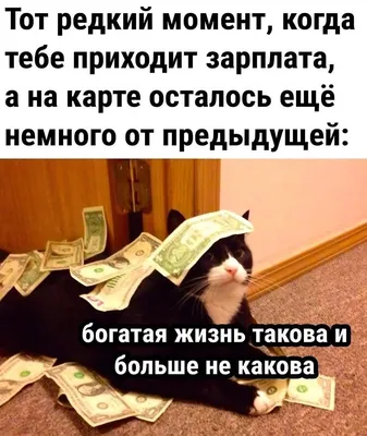 Смешные картинки пнг